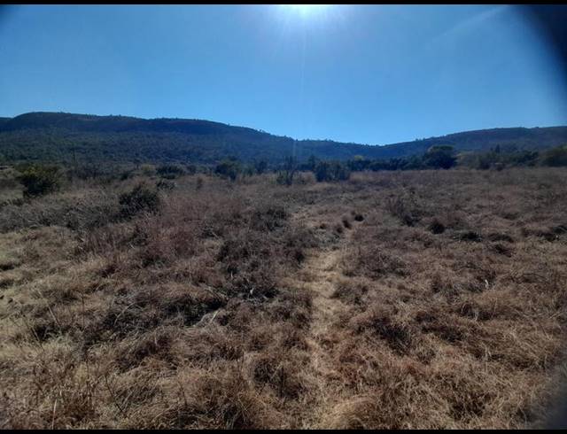 FARM FOR SALE IN MAGALIESMOOT